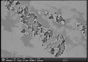 國產替代新賽道：新型半導體載版-玻璃基板